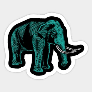 Elephant Sticker